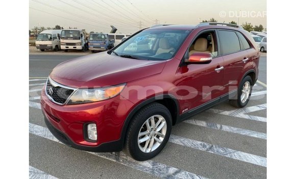 Buy Import Kia Sorento Red Car in Import - Dubai in Agalega Islands Buy Import Kia Sorento Red Car in Import - Dubai in Agalega Islands