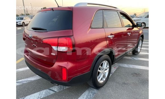 Buy Import Kia Sorento Red Car in Import - Dubai in Agalega Islands Buy Import Kia Sorento Red Car in Import - Dubai in Agalega Islands