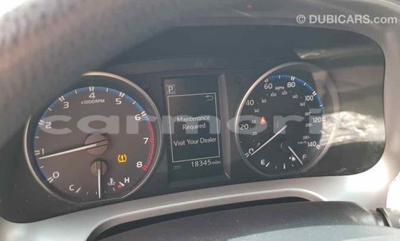 Buy Import Toyota RAV4 Other Car in Import - Dubai in Agalega Islands Buy Import Toyota RAV4 Other Car in Import - Dubai in Agalega Islands