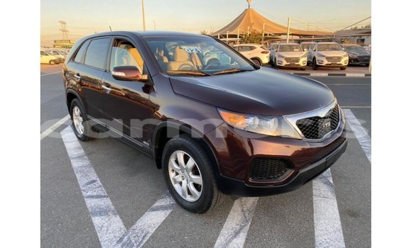 Buy Import Kia Sorento Brown Car in Import - Dubai in Agalega Islands Buy Import Kia Sorento Brown Car in Import - Dubai in Agalega Islands