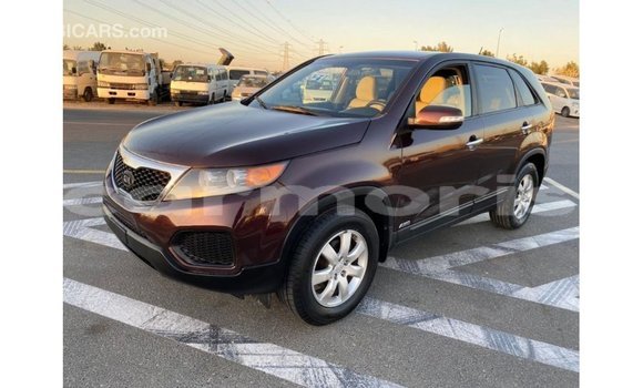 Buy Import Kia Sorento Brown Car in Import - Dubai in Agalega Islands Buy Import Kia Sorento Brown Car in Import - Dubai in Agalega Islands