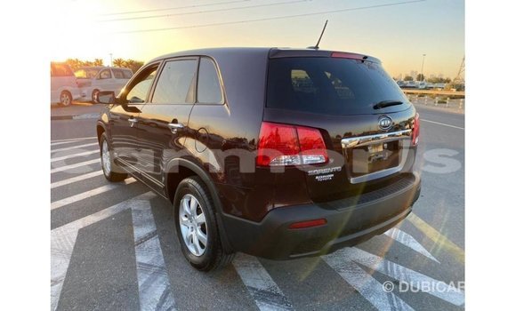 Buy Import Kia Sorento Brown Car in Import - Dubai in Agalega Islands Buy Import Kia Sorento Brown Car in Import - Dubai in Agalega Islands
