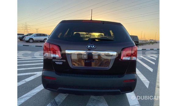 Buy Import Kia Sorento Brown Car in Import - Dubai in Agalega Islands Buy Import Kia Sorento Brown Car in Import - Dubai in Agalega Islands