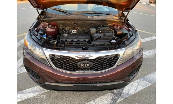 Buy Import Kia Sorento Brown Car in Import - Dubai in Agalega Islands Buy Import Kia Sorento Brown Car in Import - Dubai in Agalega Islands