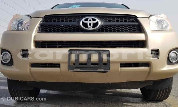 Buy Import Toyota RAV4 Other Car in Import - Dubai in Agalega Islands Buy Import Toyota RAV4 Other Car in Import - Dubai in Agalega Islands