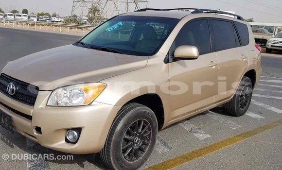 Buy Import Toyota RAV4 Other Car in Import - Dubai in Agalega Islands Buy Import Toyota RAV4 Other Car in Import - Dubai in Agalega Islands