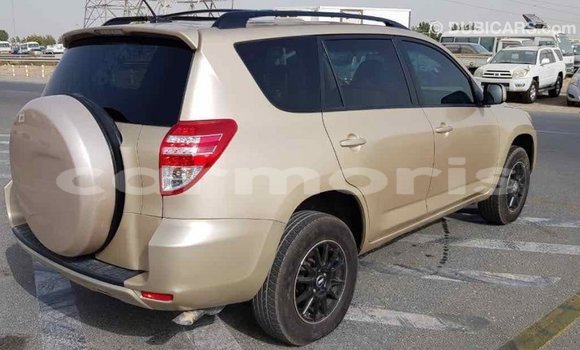 Buy Import Toyota RAV4 Other Car in Import - Dubai in Agalega Islands Buy Import Toyota RAV4 Other Car in Import - Dubai in Agalega Islands