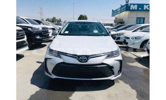 Buy Import Toyota Corolla White Car in Import - Dubai in Agalega Islands Buy Import Toyota Corolla White Car in Import - Dubai in Agalega Islands