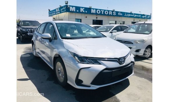 Buy Import Toyota Corolla White Car in Import - Dubai in Agalega Islands Buy Import Toyota Corolla White Car in Import - Dubai in Agalega Islands