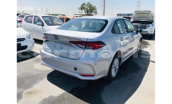 Buy Import Toyota Corolla White Car in Import - Dubai in Agalega Islands Buy Import Toyota Corolla White Car in Import - Dubai in Agalega Islands