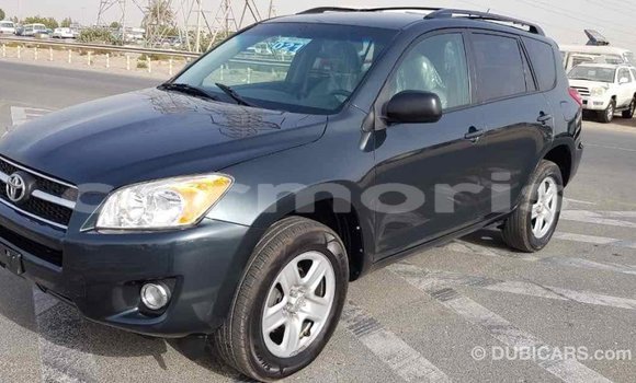 Buy Import Toyota RAV4 Green Car in Import - Dubai in Agalega Islands Buy Import Toyota RAV4 Green Car in Import - Dubai in Agalega Islands