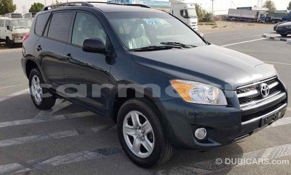 Buy Import Toyota RAV4 Green Car in Import - Dubai in Agalega Islands Buy Import Toyota RAV4 Green Car in Import - Dubai in Agalega Islands