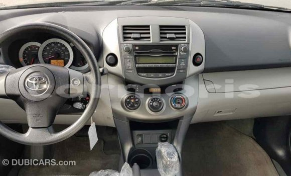 Buy Import Toyota RAV4 Green Car in Import - Dubai in Agalega Islands Buy Import Toyota RAV4 Green Car in Import - Dubai in Agalega Islands