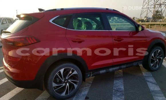 Acheter Import Voiture Hyundai Tucson Rouge à Import - Dubai, Îles Agalega Acheter Import Voiture Hyundai Tucson Rouge à Import - Dubai, Îles Agalega