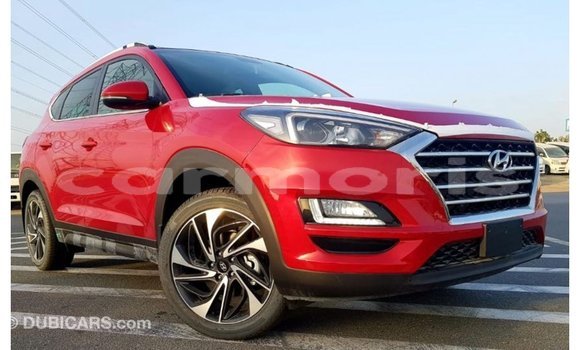 Acheter Import Voiture Hyundai Tucson Rouge à Import - Dubai, Îles Agalega Acheter Import Voiture Hyundai Tucson Rouge à Import - Dubai, Îles Agalega
