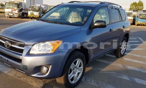 Buy Import Toyota RAV4 Blue Car in Import - Dubai in Agalega Islands Buy Import Toyota RAV4 Blue Car in Import - Dubai in Agalega Islands