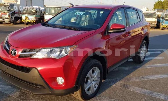 Buy Import Toyota RAV4 Red Car in Import - Dubai in Agalega Islands Buy Import Toyota RAV4 Red Car in Import - Dubai in Agalega Islands