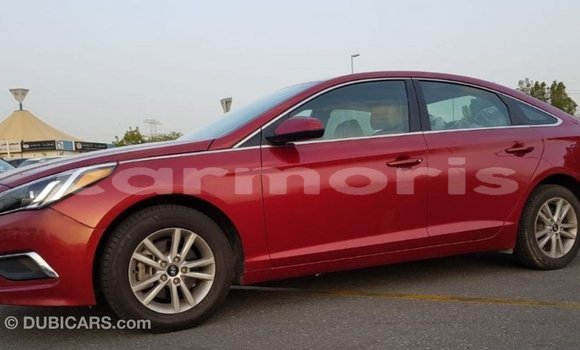 Buy Import Hyundai Sonata Red Car in Import - Dubai in Agalega Islands Buy Import Hyundai Sonata Red Car in Import - Dubai in Agalega Islands
