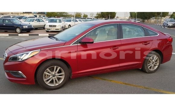 Buy Import Hyundai Sonata Red Car in Import - Dubai in Agalega Islands Buy Import Hyundai Sonata Red Car in Import - Dubai in Agalega Islands