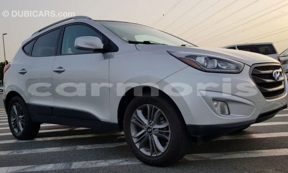 Buy Import Hyundai Tucson Other Car in Import - Dubai in Agalega Islands Buy Import Hyundai Tucson Other Car in Import - Dubai in Agalega Islands
