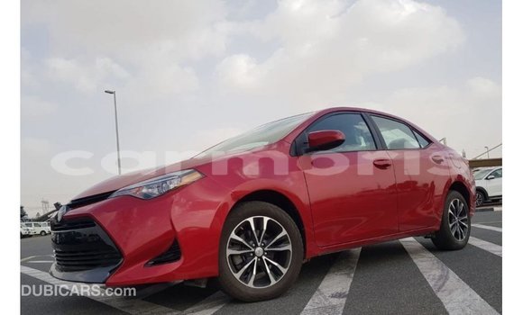 Buy Import Toyota Corolla Red Car in Import - Dubai in Agalega Islands Buy Import Toyota Corolla Red Car in Import - Dubai in Agalega Islands