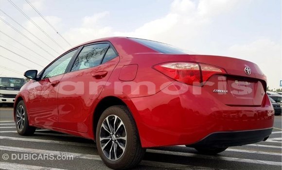 Buy Import Toyota Corolla Red Car in Import - Dubai in Agalega Islands Buy Import Toyota Corolla Red Car in Import - Dubai in Agalega Islands