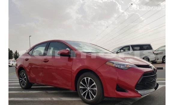 Buy Import Toyota Corolla Red Car in Import - Dubai in Agalega Islands Buy Import Toyota Corolla Red Car in Import - Dubai in Agalega Islands