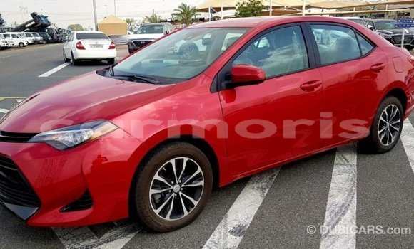 Buy Import Toyota Corolla Red Car in Import - Dubai in Agalega Islands Buy Import Toyota Corolla Red Car in Import - Dubai in Agalega Islands