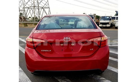 Buy Import Toyota Corolla Red Car in Import - Dubai in Agalega Islands Buy Import Toyota Corolla Red Car in Import - Dubai in Agalega Islands
