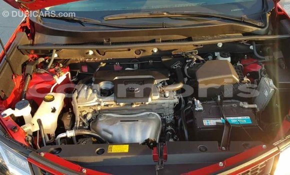 Buy Import Toyota RAV4 Red Car in Import - Dubai in Agalega Islands Buy Import Toyota RAV4 Red Car in Import - Dubai in Agalega Islands