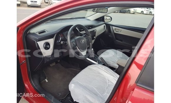 Buy Import Toyota Corolla Red Car in Import - Dubai in Agalega Islands Buy Import Toyota Corolla Red Car in Import - Dubai in Agalega Islands