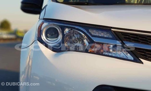 Buy Import Toyota RAV4 White Car in Import - Dubai in Agalega Islands Buy Import Toyota RAV4 White Car in Import - Dubai in Agalega Islands
