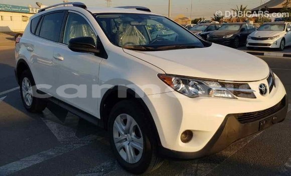 Buy Import Toyota RAV4 White Car in Import - Dubai in Agalega Islands Buy Import Toyota RAV4 White Car in Import - Dubai in Agalega Islands