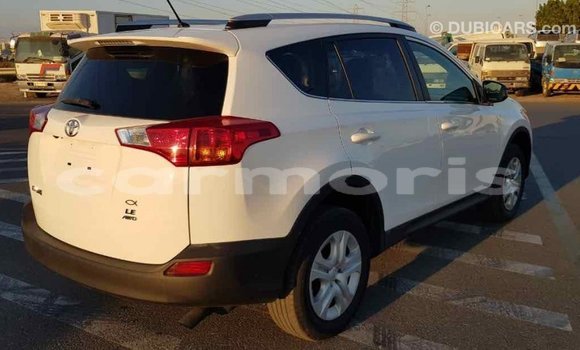 Buy Import Toyota RAV4 White Car in Import - Dubai in Agalega Islands Buy Import Toyota RAV4 White Car in Import - Dubai in Agalega Islands