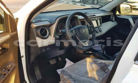 Buy Import Toyota RAV4 White Car in Import - Dubai in Agalega Islands Buy Import Toyota RAV4 White Car in Import - Dubai in Agalega Islands