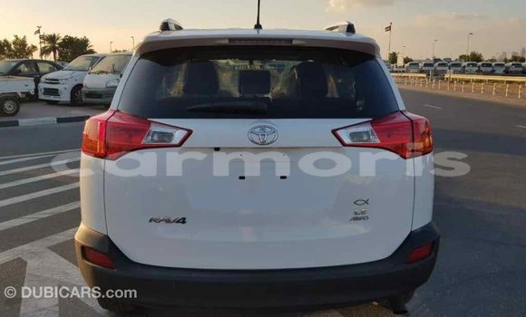 Buy Import Toyota RAV4 White Car in Import - Dubai in Agalega Islands Buy Import Toyota RAV4 White Car in Import - Dubai in Agalega Islands