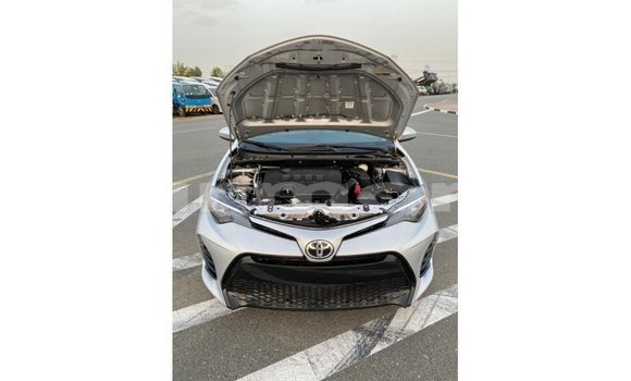 Buy Import Toyota Corolla Other Car in Import - Dubai in Agalega Islands Buy Import Toyota Corolla Other Car in Import - Dubai in Agalega Islands
