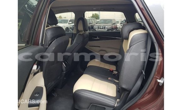 Buy Import Kia Sorento Red Car in Import - Dubai in Agalega Islands Buy Import Kia Sorento Red Car in Import - Dubai in Agalega Islands