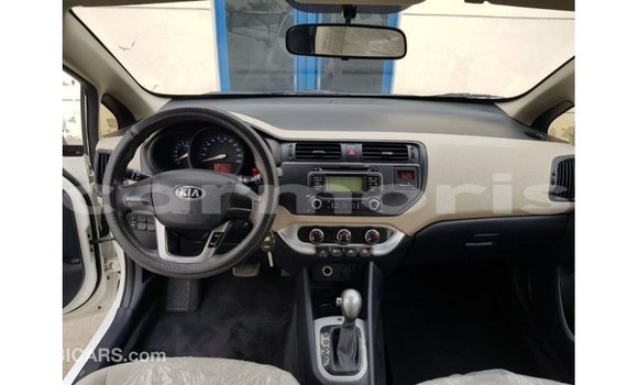 Buy Import Kia Rio White Car in Import - Dubai in Agalega Islands Buy Import Kia Rio White Car in Import - Dubai in Agalega Islands