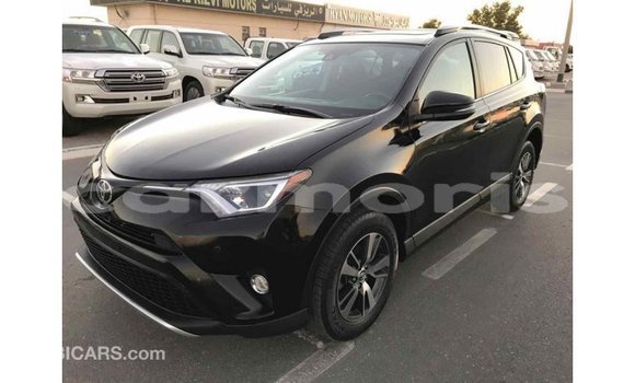 Buy Import Toyota RAV4 Black Car in Import - Dubai in Agalega Islands Buy Import Toyota RAV4 Black Car in Import - Dubai in Agalega Islands