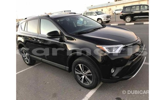 Buy Import Toyota RAV4 Black Car in Import - Dubai in Agalega Islands Buy Import Toyota RAV4 Black Car in Import - Dubai in Agalega Islands