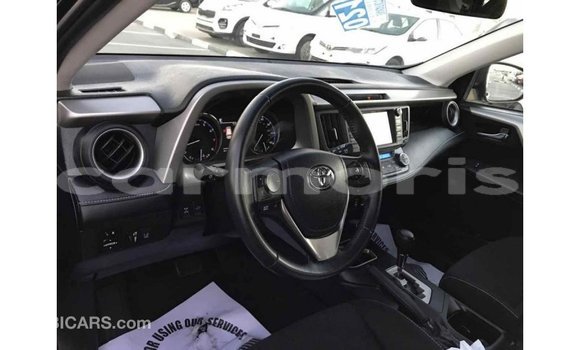 Buy Import Toyota RAV4 Black Car in Import - Dubai in Agalega Islands Buy Import Toyota RAV4 Black Car in Import - Dubai in Agalega Islands