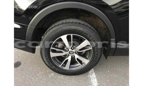 Buy Import Toyota RAV4 Black Car in Import - Dubai in Agalega Islands Buy Import Toyota RAV4 Black Car in Import - Dubai in Agalega Islands