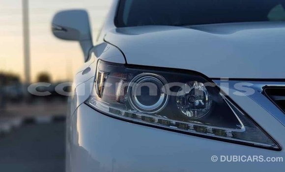 Buy Import Lexus RX 350 White Car in Import - Dubai in Agalega Islands Buy Import Lexus RX 350 White Car in Import - Dubai in Agalega Islands