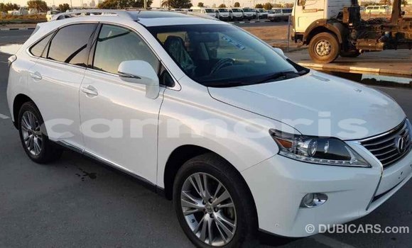 Buy Import Lexus RX 350 White Car in Import - Dubai in Agalega Islands Buy Import Lexus RX 350 White Car in Import - Dubai in Agalega Islands