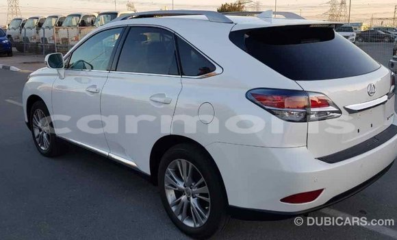 Buy Import Lexus RX 350 White Car in Import - Dubai in Agalega Islands Buy Import Lexus RX 350 White Car in Import - Dubai in Agalega Islands