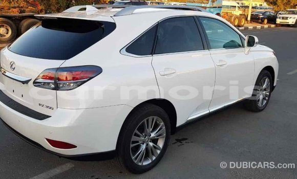 Buy Import Lexus RX 350 White Car in Import - Dubai in Agalega Islands Buy Import Lexus RX 350 White Car in Import - Dubai in Agalega Islands