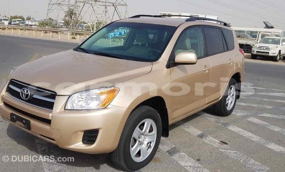 Buy Import Toyota RAV4 Other Car in Import - Dubai in Agalega Islands Buy Import Toyota RAV4 Other Car in Import - Dubai in Agalega Islands