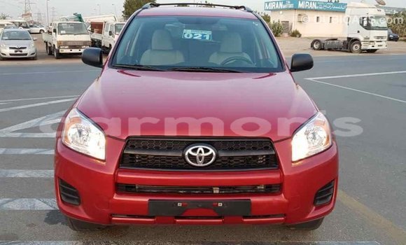 Buy Import Toyota RAV4 Red Car in Import - Dubai in Agalega Islands Buy Import Toyota RAV4 Red Car in Import - Dubai in Agalega Islands