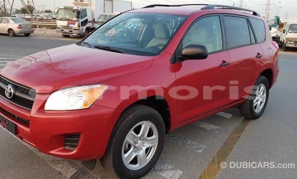 Buy Import Toyota RAV4 Red Car in Import - Dubai in Agalega Islands Buy Import Toyota RAV4 Red Car in Import - Dubai in Agalega Islands
